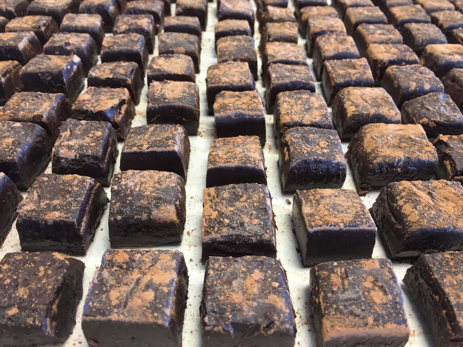 Tray of Turtle Alley Fudge