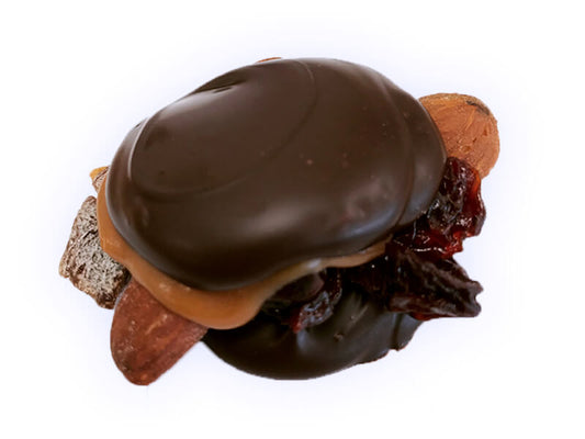 Cherry Apricot Almond Turtle Alley Patties