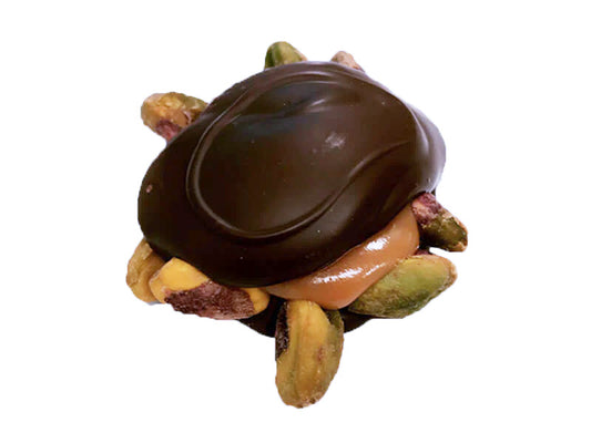 Pistachio Turtle