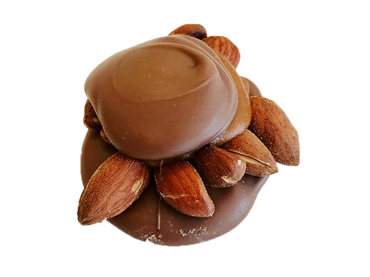 Almond Turtles