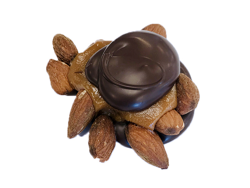 Almond Turtle Alley Patties