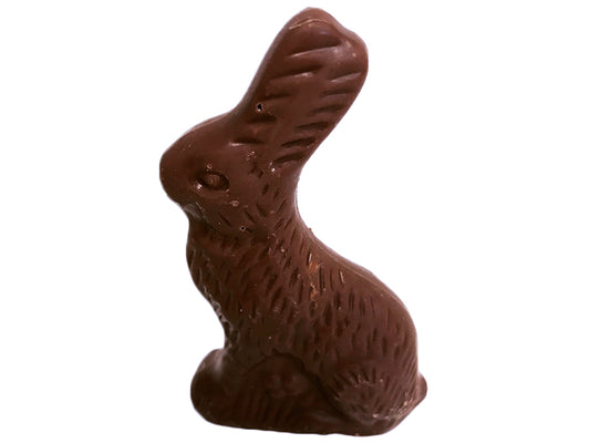 2.5 oz Milk Chocolate Bunny