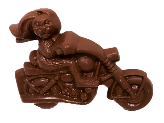 Biker Bunny