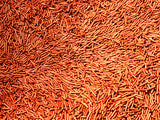 Chocolate Sprinkles